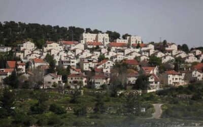 Quand les mots remplacent la volonté